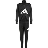 adidas Essentials Big Logo Climacool Trainingsanzug Black / White 140