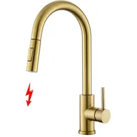 Niederdruck Armatur Küche Gold, Niederdruck Wasserhahn Küche mit Ausziehbare Brause, Mischbatterien für Küche Moderner Edelstahl Spültischarmatur