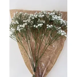 2474U Kunstzweig Schleierkraut weiß ca. 55cm naturgetreu, vielseitig