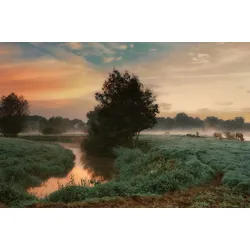 Fototapete PAPERMOON "Photo-Art SASKIA DINGEMANS, NEBLIGER TRAUM", bunt, B:4,00m L:2,60m, Vlies, Tapeten
