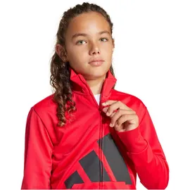 adidas Essentials Climacool Trainingsanzug J BL TR TS 205 JC9713 - pure ruby/black 164