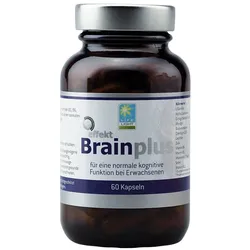 Brain Plus