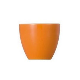 Thomas Sunny Day orange (10850-408505-15520)