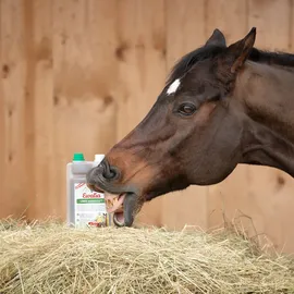 Ewalia Leber-Nierensaft für Pferde 1 l