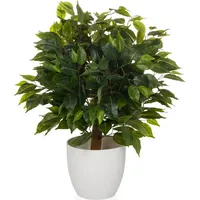 HJH Office Kunstpflanze Ficus II 65 cm