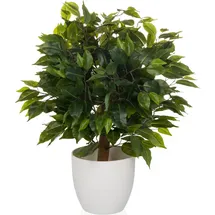 HJH Office Kunstpflanze Ficus II 65 cm