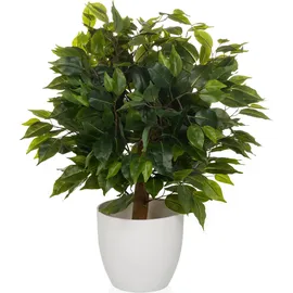 HJH Office Kunstpflanze Ficus II 65 cm