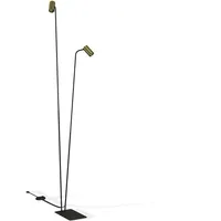 Licht-Erlebnisse Stehlampe COLENE Schwarz Messing 2x GU10 verstellbare Schirme