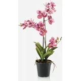 artplants.de Kunstorchidee Vanda Campo, rosa-pink, 60cm - Künstliche Orchidee/Blumendeko Orchidee