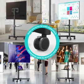ONKRON TS1137-B TV-Ständer 23-60 Zoll 40 kg Schwarz