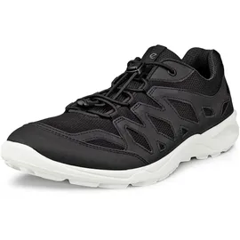 ECCO Terracruise LT Damen Schwarz 38
