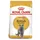 Royal Canin Adult British Shorthair 10 kg