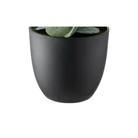 Möbel Kraft Eukalyptus getopft ¦ grün ¦ Kunststoff ¦ Maße (cm): H: 38