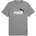 Graphics Color No Logo Tee grau M