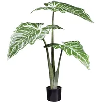 Creativ green Künstliche Zimmerpflanze »Colocasia White Lava« mit außergewöhnlichem