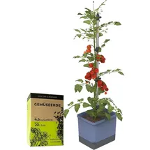 Gusta Garden Tom Tomato Pflanzentopf mit Rankhilfe 20 l blau