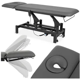 Habys Fortis 2 Ergo | Elektrische Behandlungsliege Therapieliege Massageliege Massagebank Kosmetikliege | Höhenverstellbare 2-Segmente | 192 x 68 cm