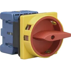 Kraus & Naimer Hauptschalter KG41B T205/01 E