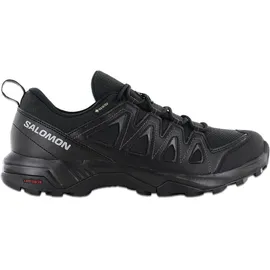 Salomon X Braze Gore-Tex Black / Black / Phantom 42