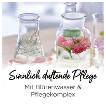 VANDINI 3x Nutri Flüssigseife Spender mit Pfingstrosenblüte Duft 300ml - Made in Germany Spender Seife vegan - Handseife flüssig reinigt sanft - Handwaschseife für gepflegte Hände - Hand soap