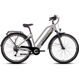 Saxonette Comfort Sport" E-Bike silber matt) - 45 cm Rahmenhöhe: 45 cm),