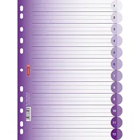 Brunnen 106659560 Ringbuchregister Colour Code (für Ordner und Ringbücher,