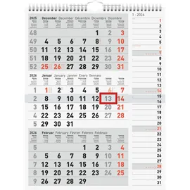 Rido rido/idé 7033330006 3-Monatskalender 2026 grau, 300×390 mm
