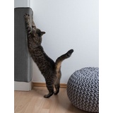 primaflor Katzen-Kratzmatte - Grau, 50 x 100 cm, Rutschhemmende Sisalmatte für Krallenpflege, Robuster Kratzpad für Wand, Boden oder Kratzmöbel