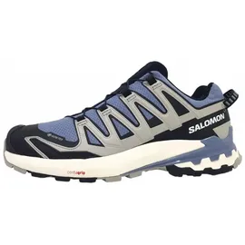 Salomon XA Pro 3D V9 GTX Herren Flint Stone/Black/Ghost Gray 44 2/3