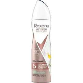 Rexona Maximum Protection Lime & Waterlily Scent Anti Transpiran...