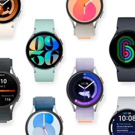 Samsung Galaxy Watch6 Silver 44 mm BT Sport Band Silver M/L