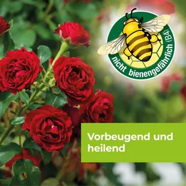 Protect Garden Curamat AZ Universal-Pilzfrei 1 Liter