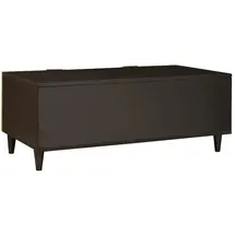 vidaXL Couchtisch Schwarz und Gold Mangoholz 100 x 54 x 40 cm