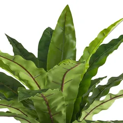 CREATIV green künstliche Pflanze Asplenium, ca 105cm