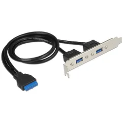 Delock Slot bracket - USB-Konsole - USB Typ A (W)