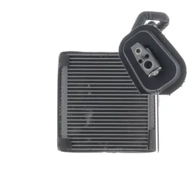 mahle AE 229 000P