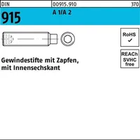 F. REYHER Nchfg. GmbH & Co. KG Gewindestift DIN 915 M 8 x 45 100 Stück