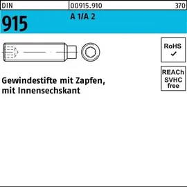 F. REYHER Nchfg. GmbH & Co. KG Gewindestift DIN 915 M 8 x 45 100 Stück