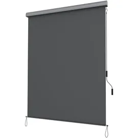 Songmics Seitenmarkise 1,4 x 2,5 m grau Polyester