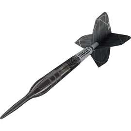 Target Darts Nathan Aspinall x Echo Steeldarts 24 g