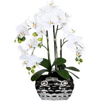 Creativ-green Kunstblume Orchidee, Phalaenopsis, weiß, in silberner Ovalvase, Höhe 55 cm