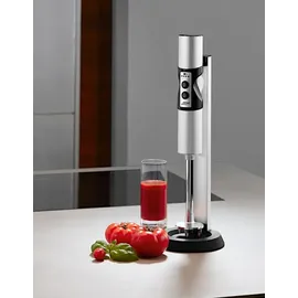 Ritter Stilo 7 Plus Stabmixer gold