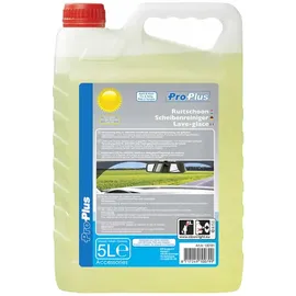 PRO PLUS Scheibenreiniger Sommer Fertigmix 5 l