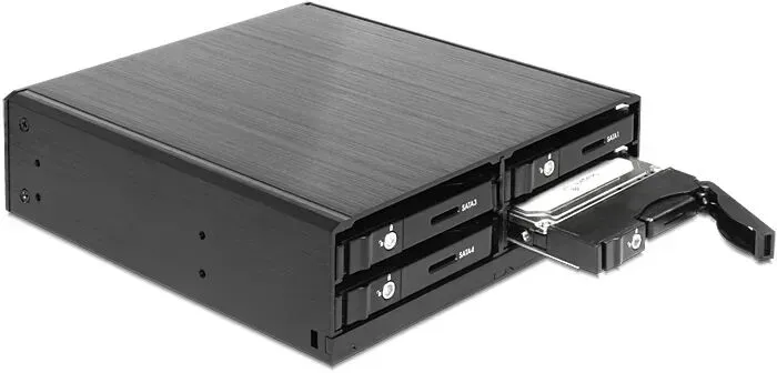 DeLOCK 47220 Hard Drive Backplane Schwarz
