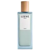 Loewe Agua Drop Eau de Parfum 100 ml