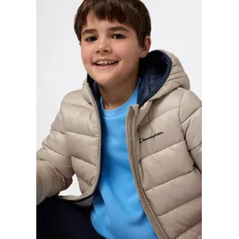 Champion Steppjacke Beige XL