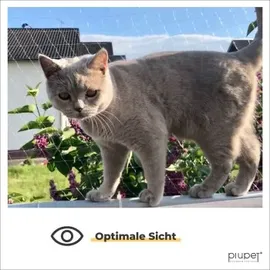 PiuPet Katzennetz transparent 3 x 4 m