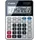 Canon LS-122TS 12stellig Solar/Batterie