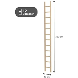 Proregal Anlegeleiter 12 Sprossen