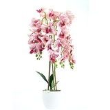 DIXIE STORE Kunstpflanze Orchidee | Künstliche Orchidee im Topf, wie echt, 70 cm, 4 Zweige, Zahlreiche Blumen, Dicht, Rosa